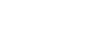 Logo Footer